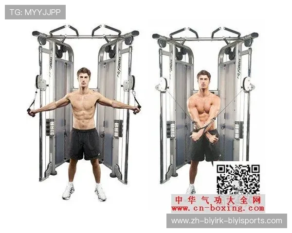 飞鸟健身器材的多样选择与使用技巧探讨