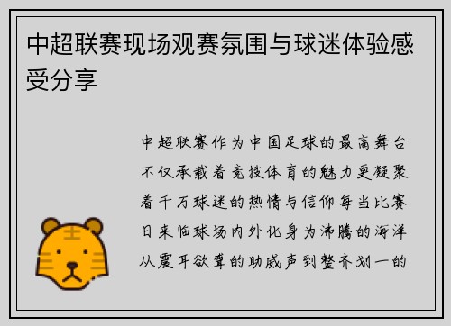 中超联赛现场观赛氛围与球迷体验感受分享
